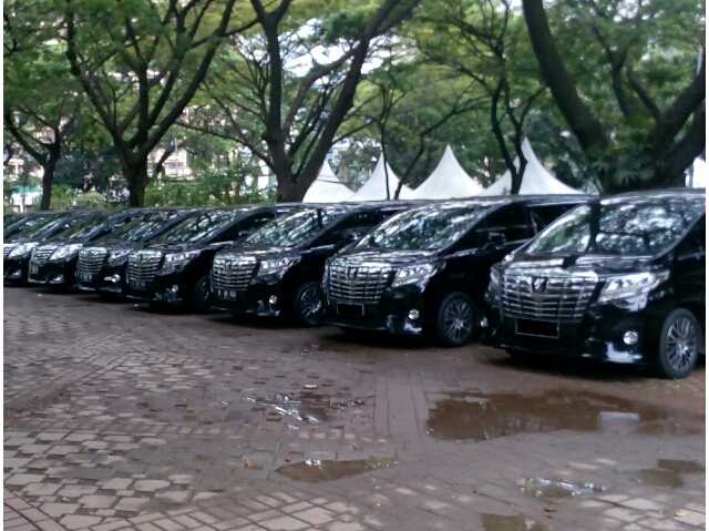 rental alphard transformer, sewa alphard , rental mobil alphard transformer, rentalmobil alphard , wedding car alphard, sewa mobil pengantin alphard, rental mobil mewah alphard